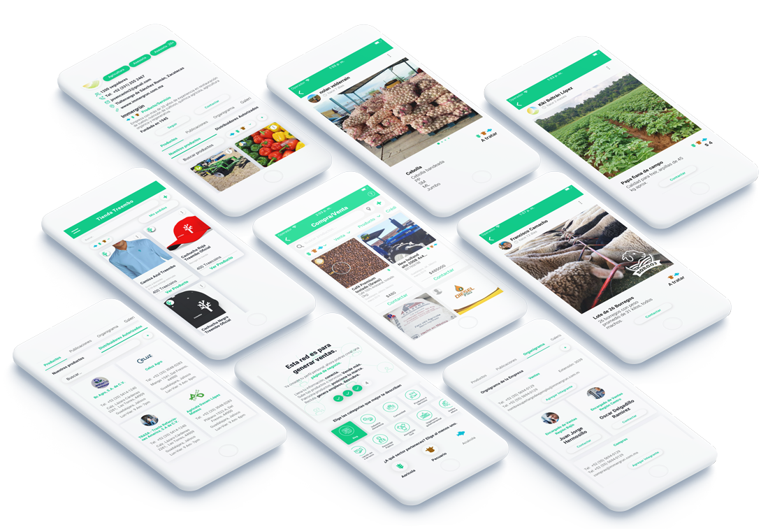 Maquetación treembo